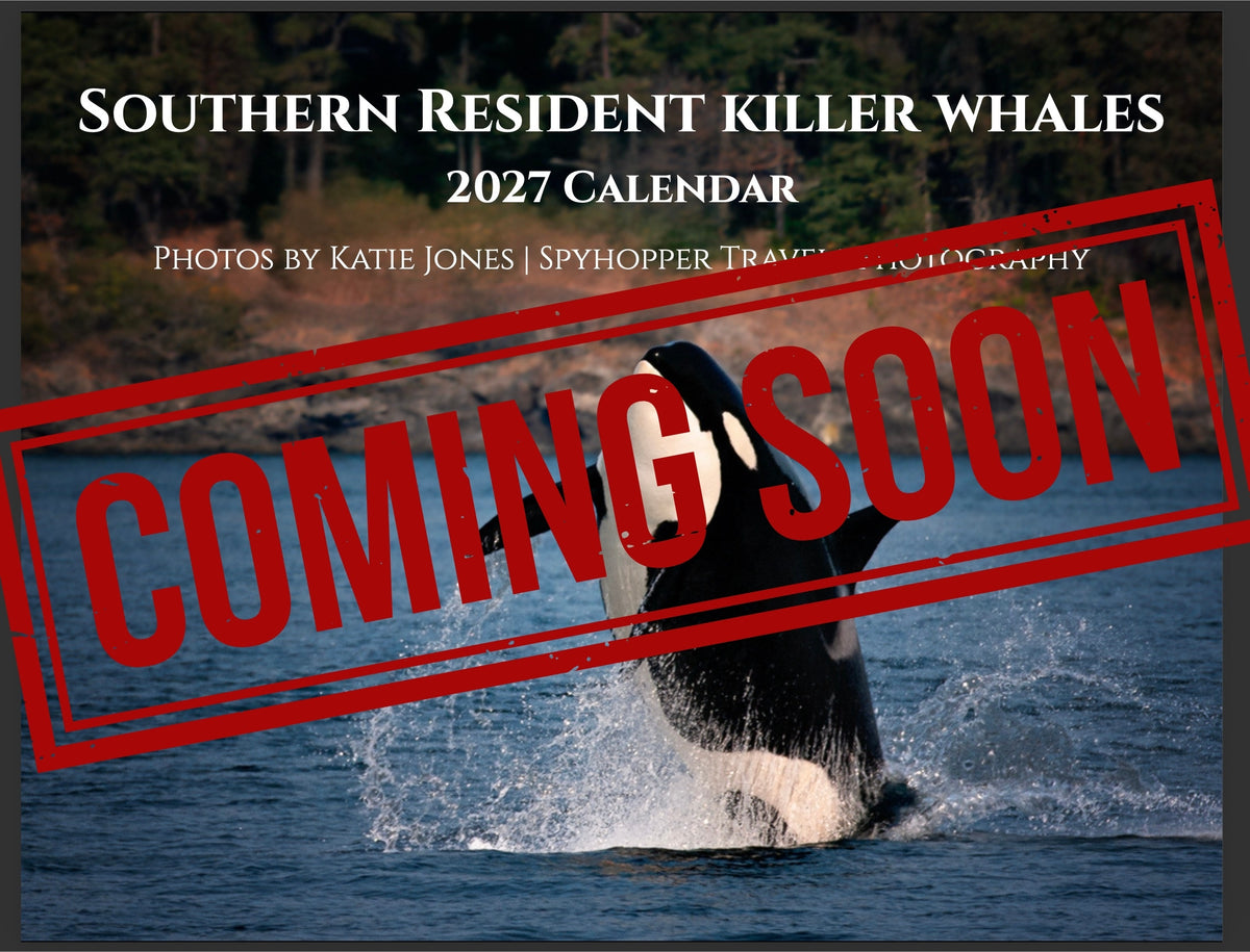 Southern Resident Killer Whale 2027 Calendar