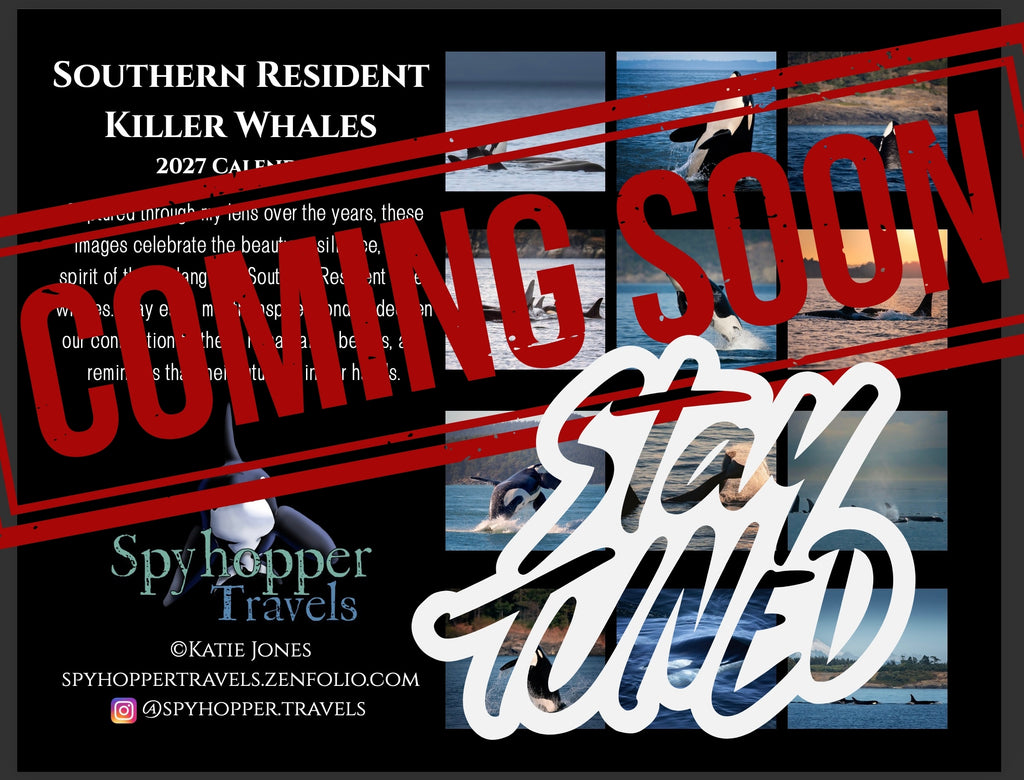 Southern Resident Killer Whale 2027 Calendar