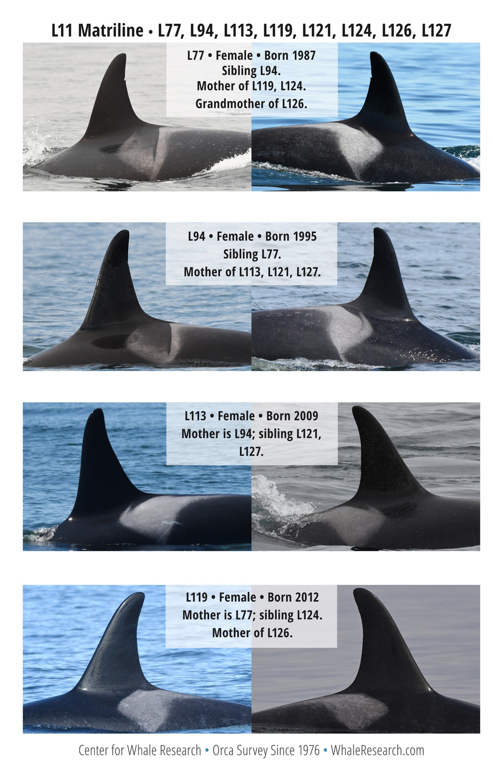 2025 Southern Resident ID Guide