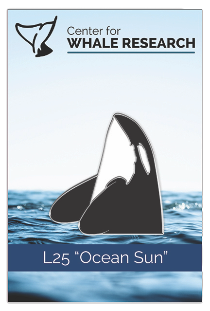 L25 "Ocean Sun" Enamel Pin