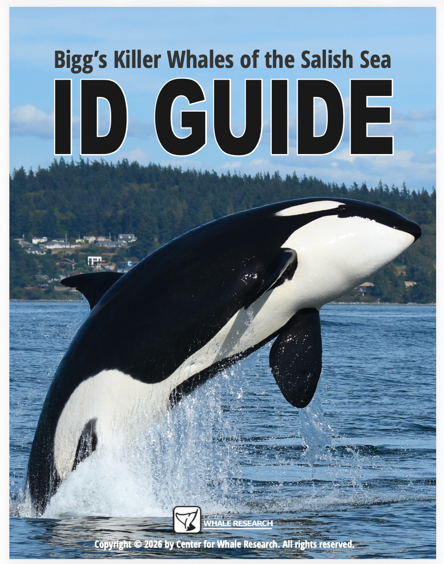 Bigg's ID Guide