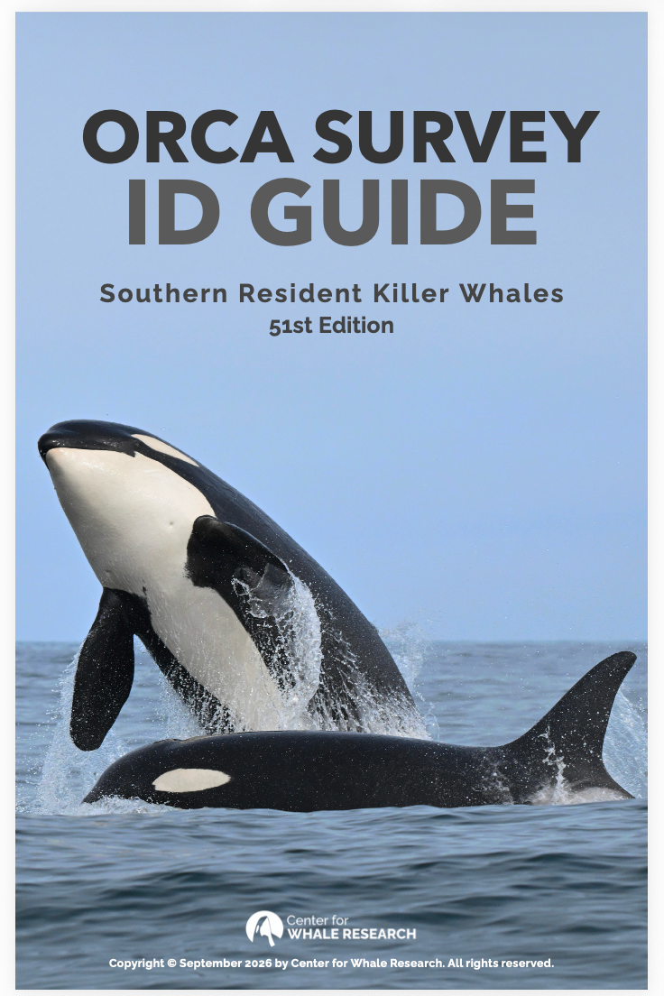 2026 Southern Resident Killer Whale ID Guide