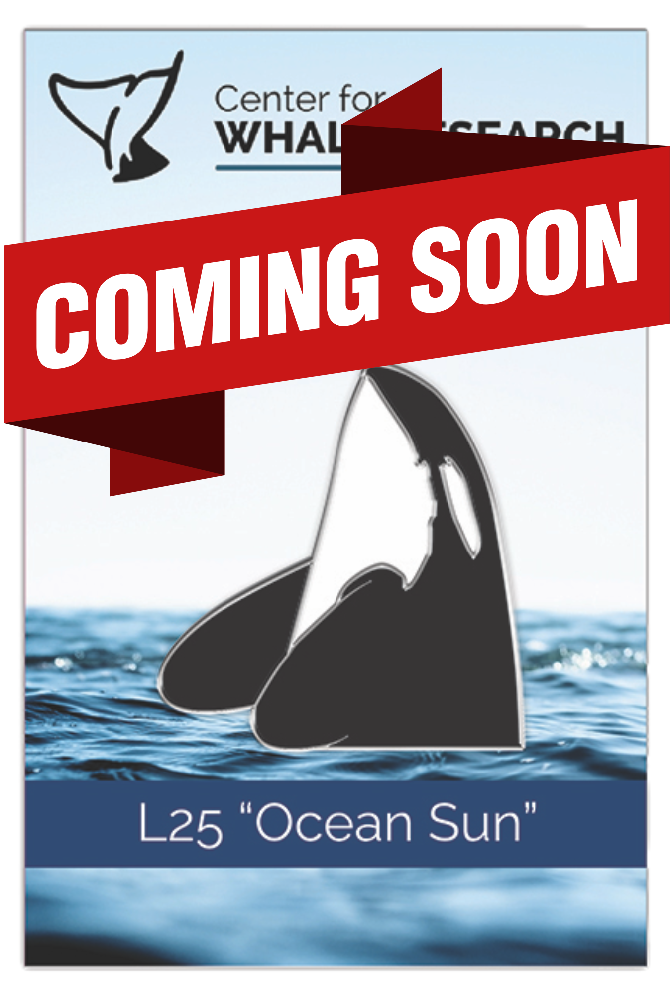 L25 "Ocean Sun" Enamel Pin